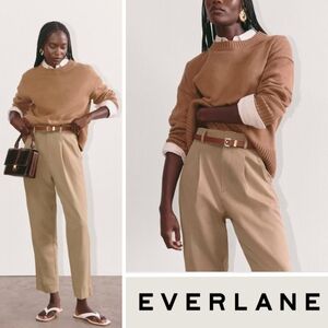 NEW Everlane Women's The Tencel Way-High Taper Pant Ash Brown Size 12 Relaxed